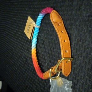 Rainbow Rope and leather dog collar